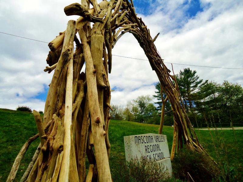 driftwood arch
